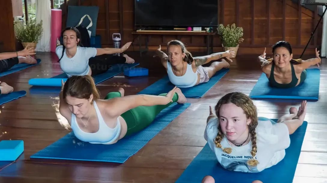 Maple Lotus Yoga 1