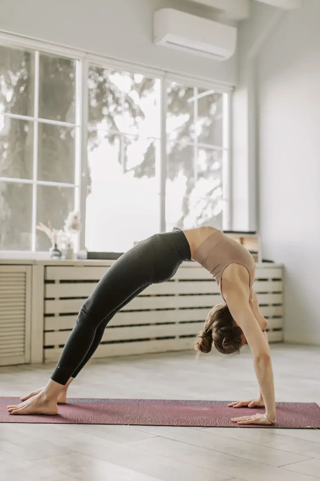 Maple Lotus Yoga 15